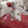 tô tượng thạch cao hình ca sau