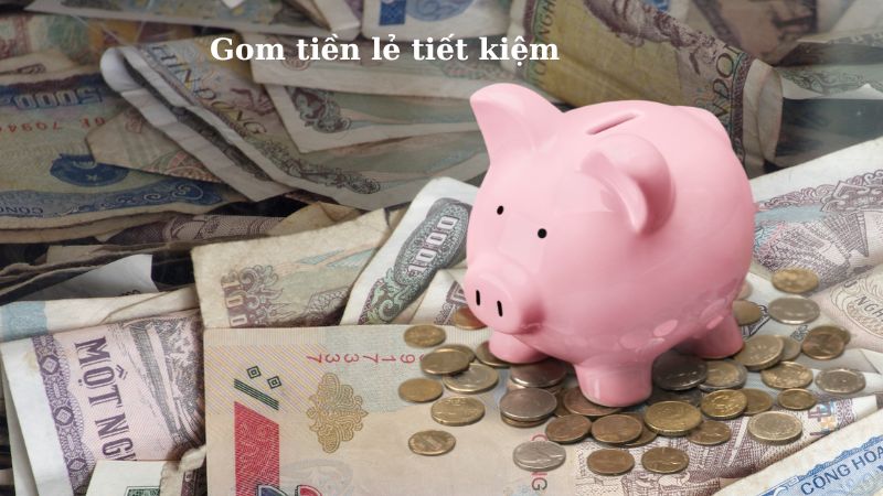 Gom tiền lẻ tiết kiệm Nuôi heo bằng tiền lẻ
