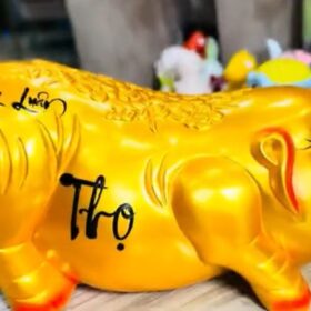 ống heo đất tiết kiệm