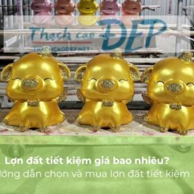 Lợn đất tiết kiệm giá bao nhiêu? Bảng giá mới nhất 2025
